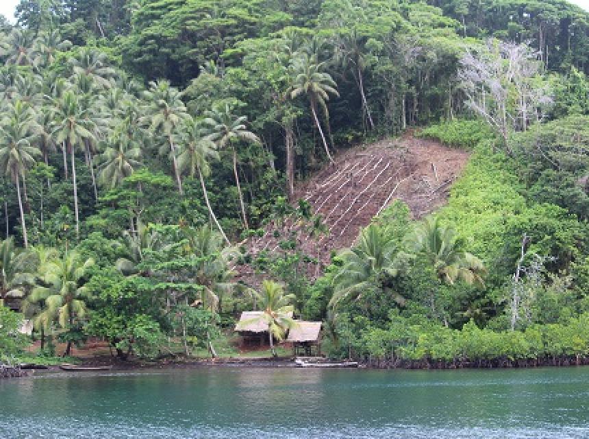 Florida Islands, Central Province 